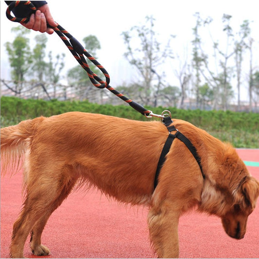 Dog Chest Back Leash Set Adjustable Chest Back Traction Rope